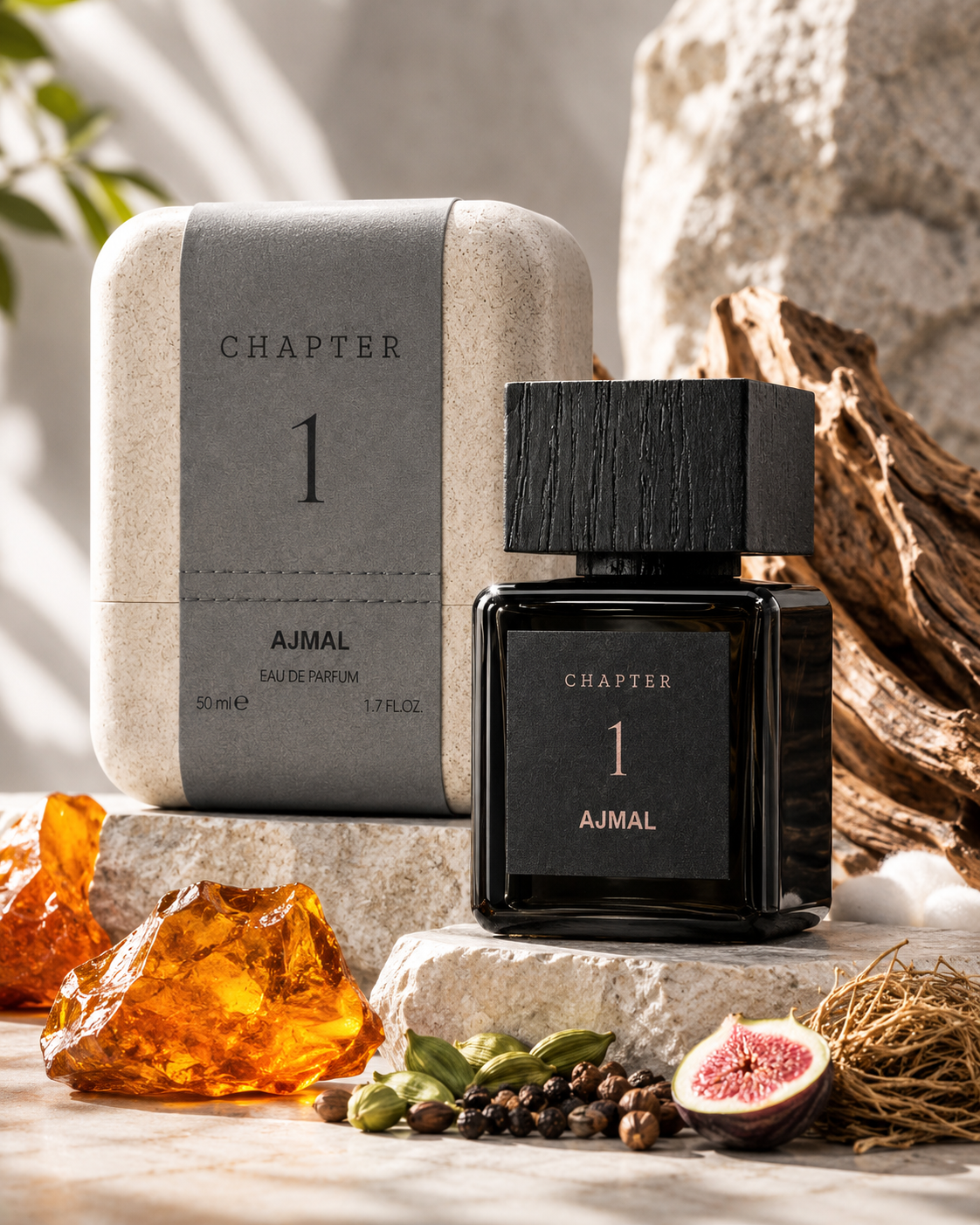 Chapter 1 by Ajmal